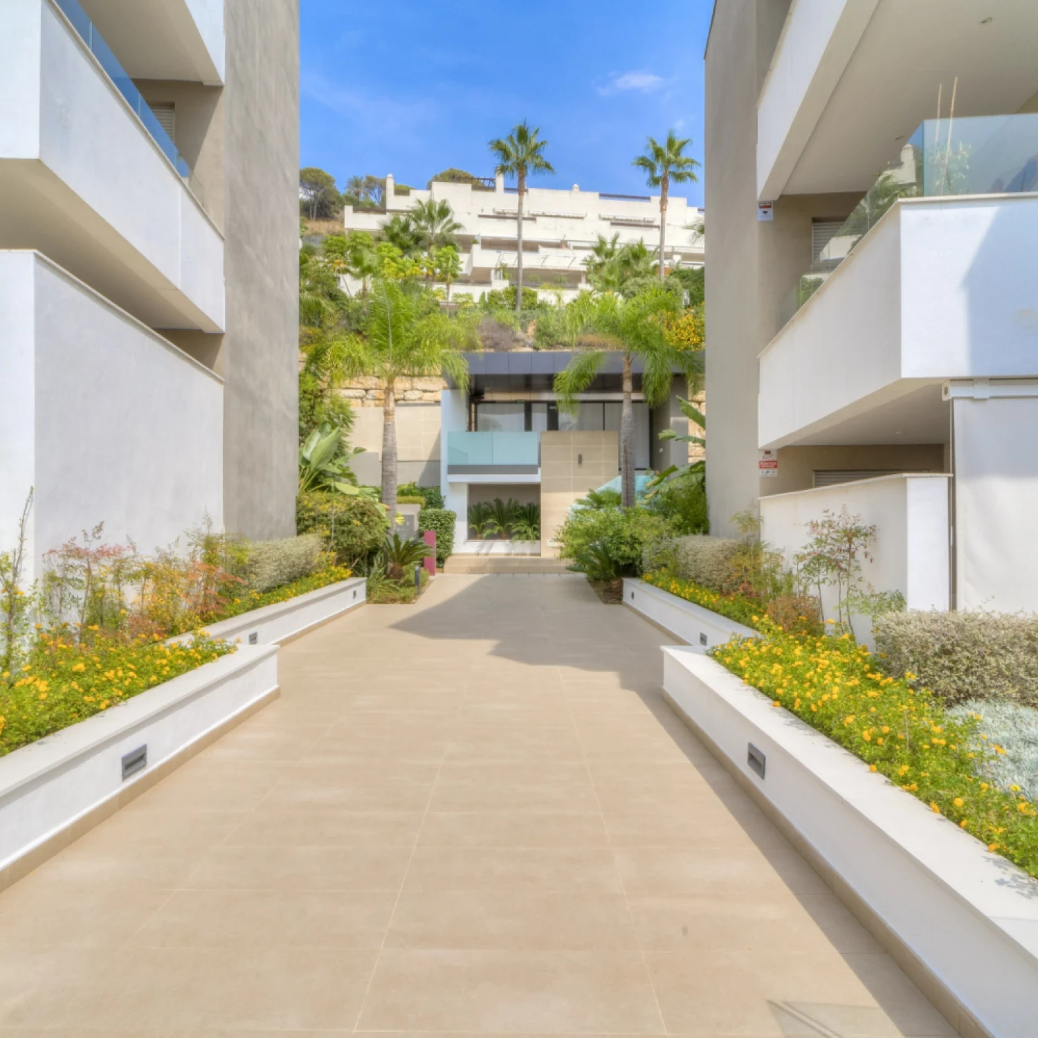 Click to open gallery