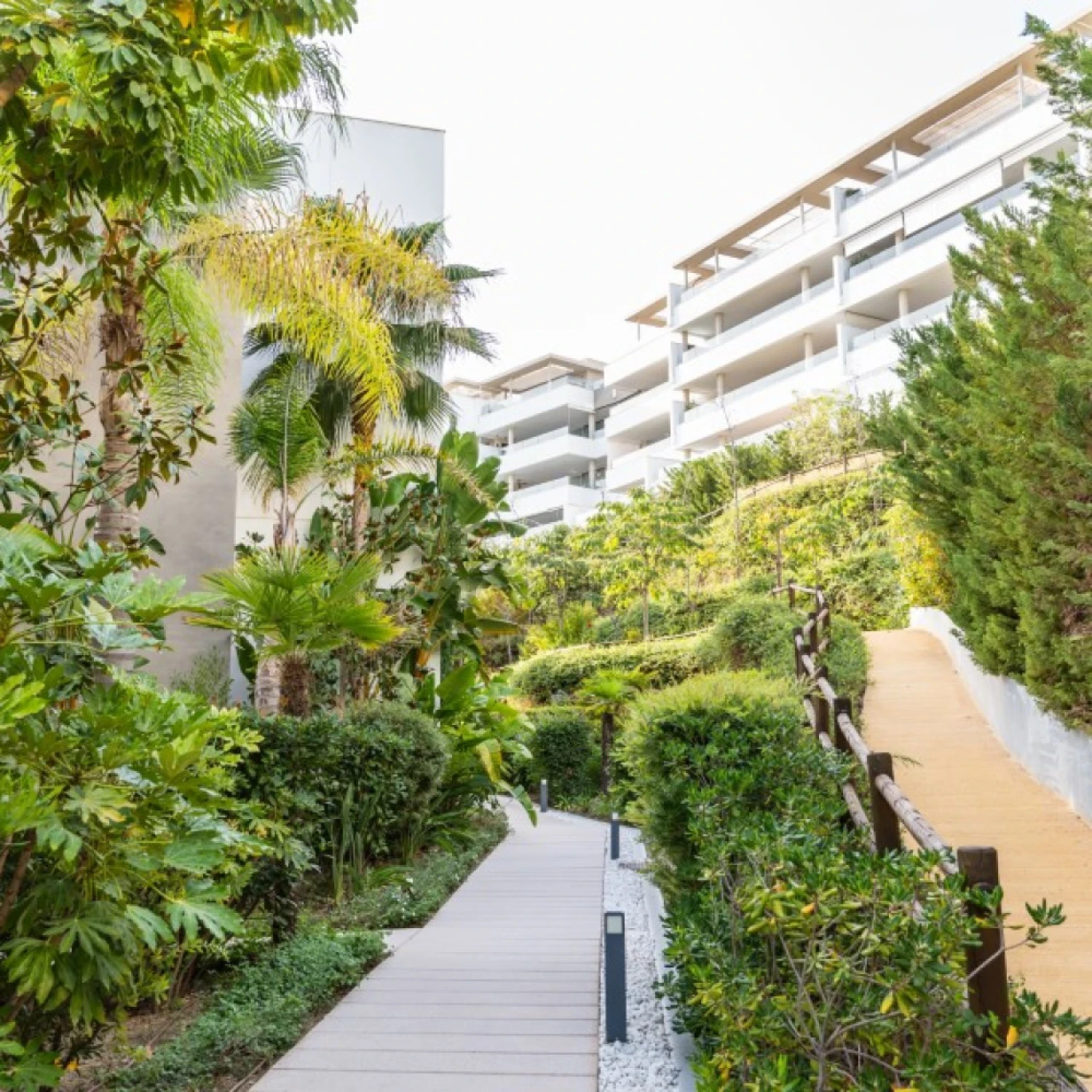 Click to open gallery