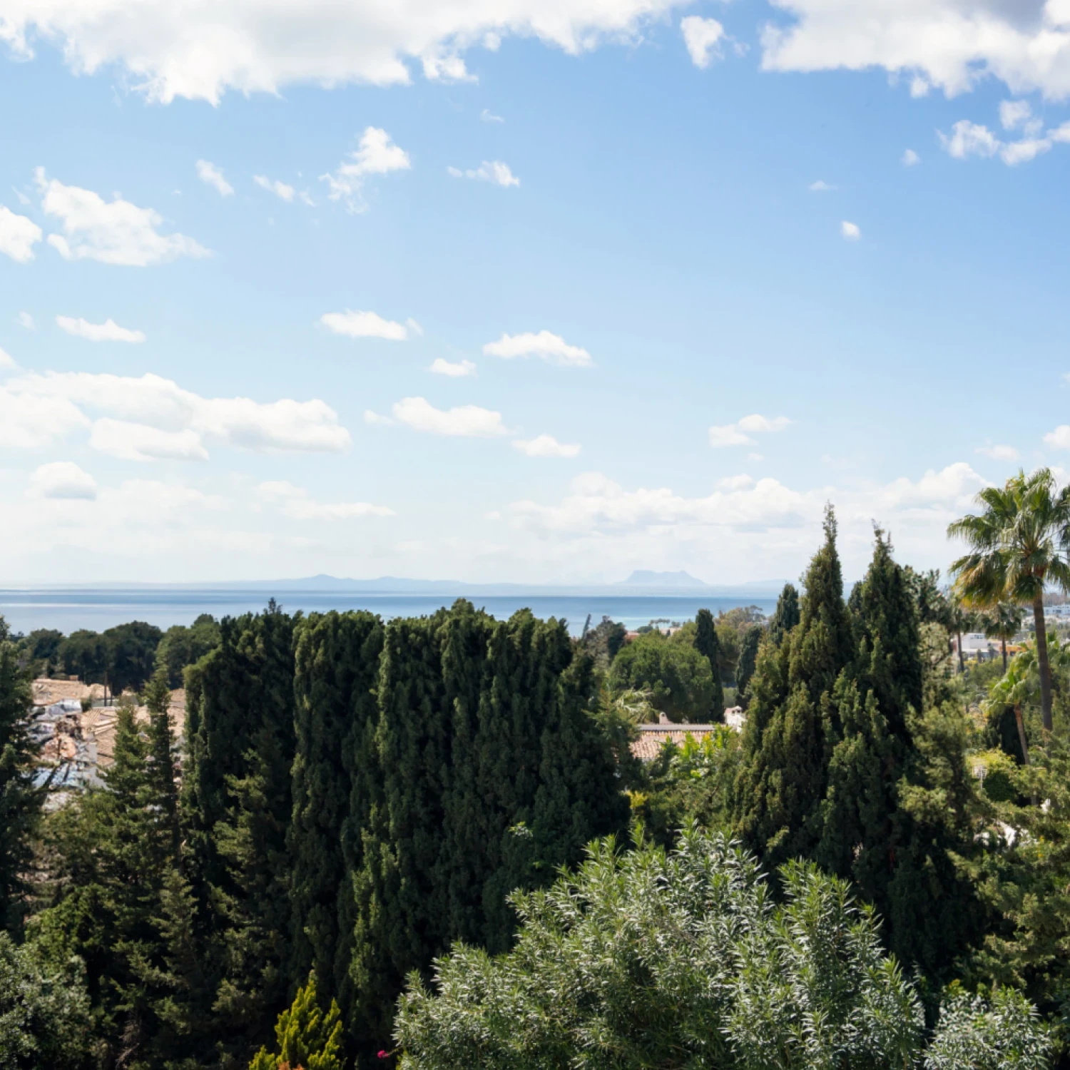 Click to open gallery