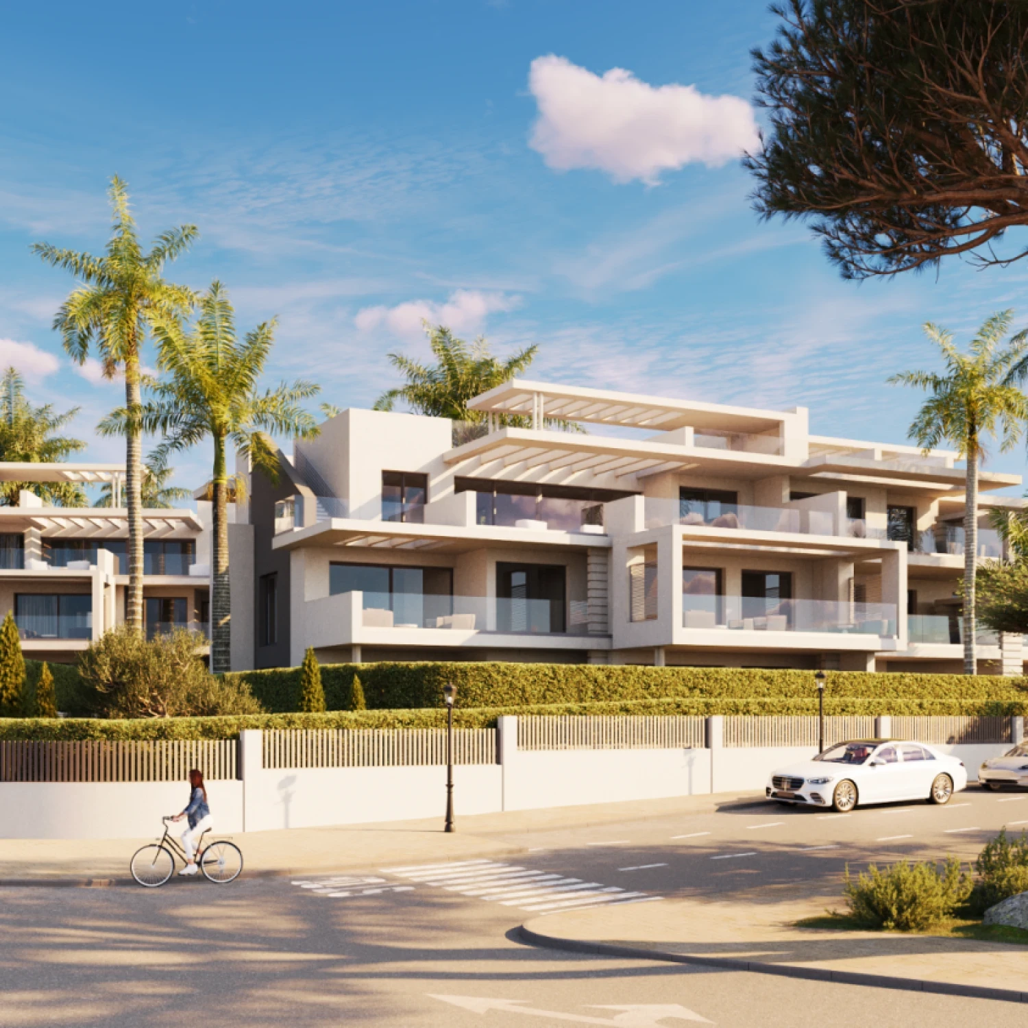 Click to open gallery