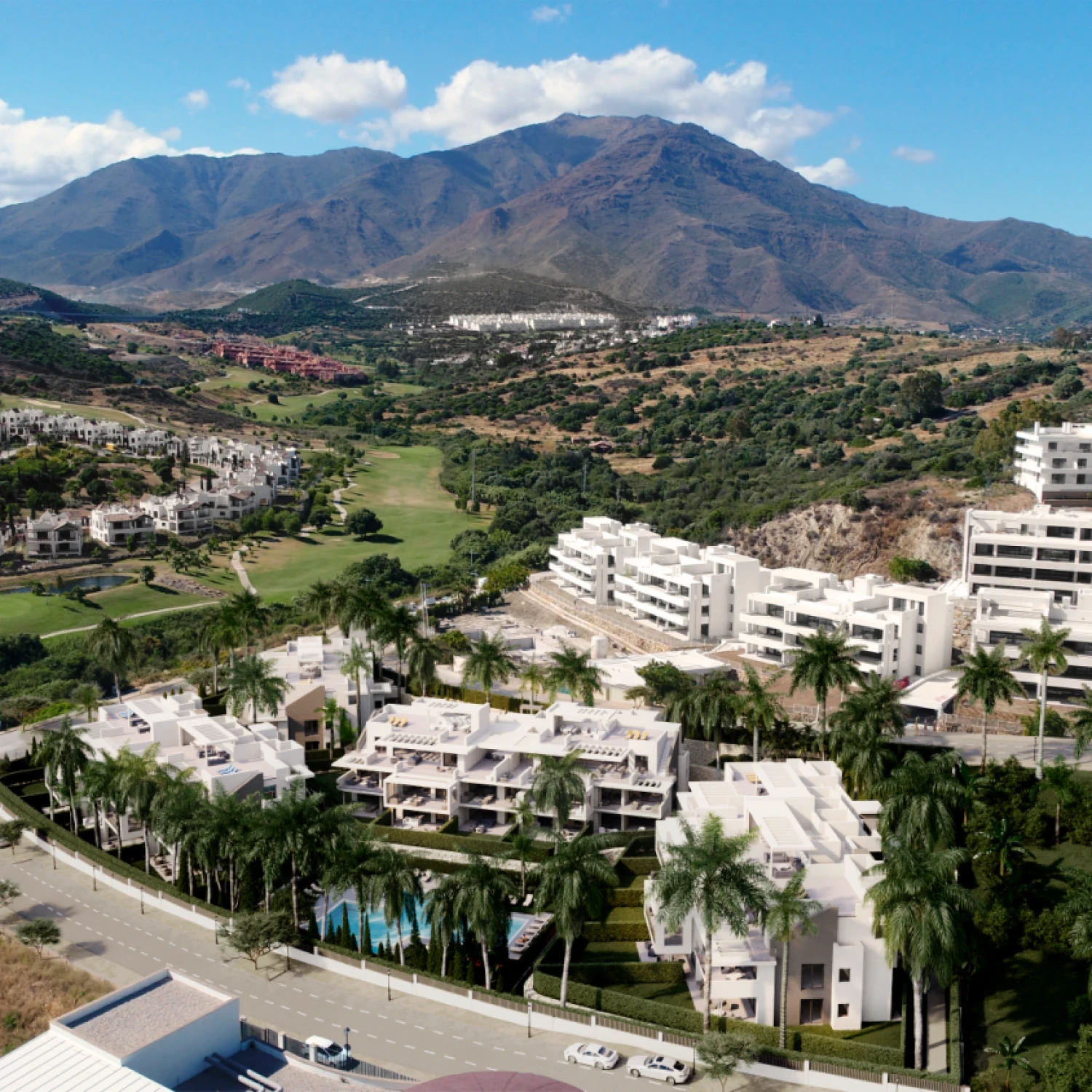 Click to open gallery