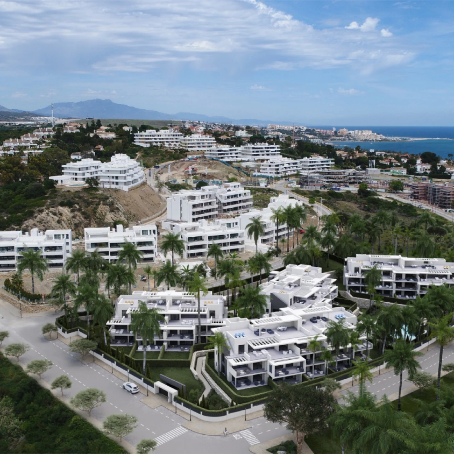 Click to open gallery