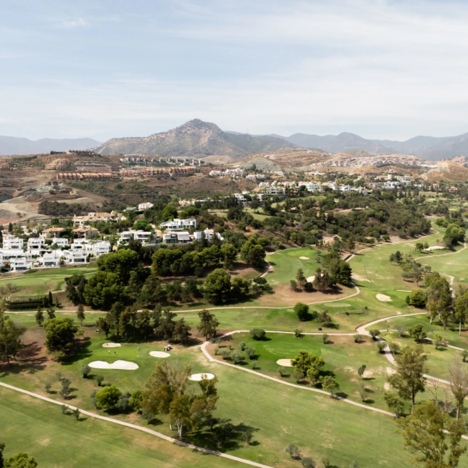 Click to open gallery