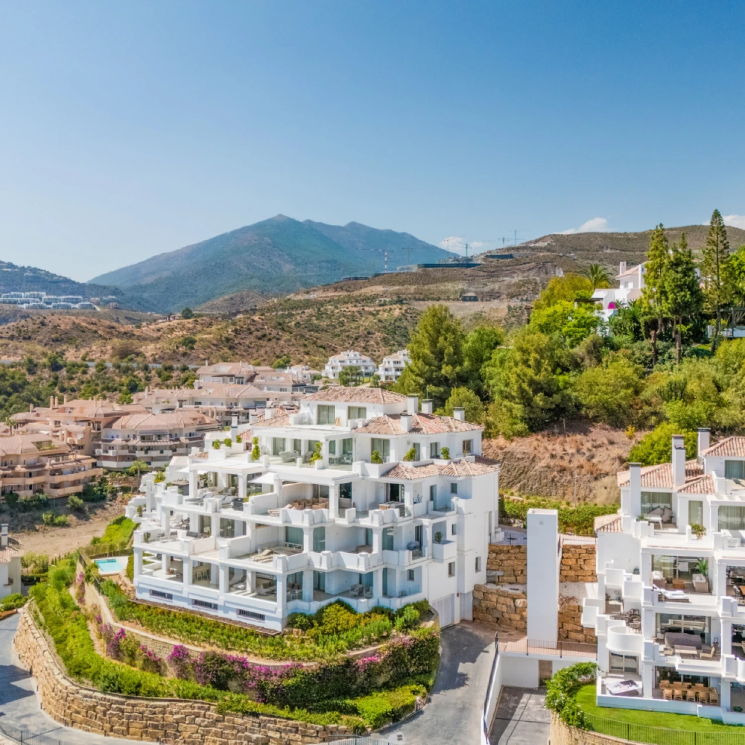 Click to open gallery