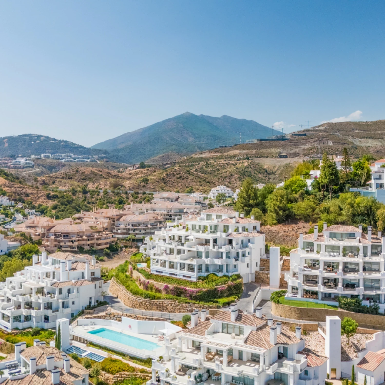 Click to open gallery