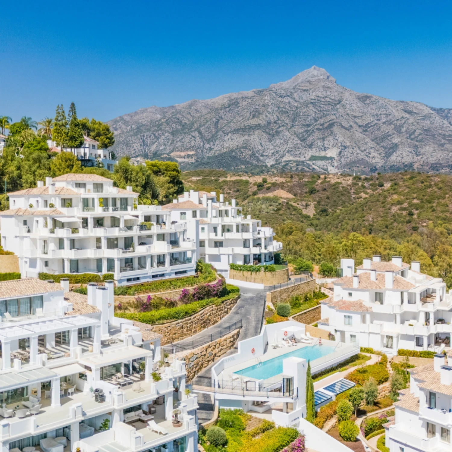 Click to open gallery