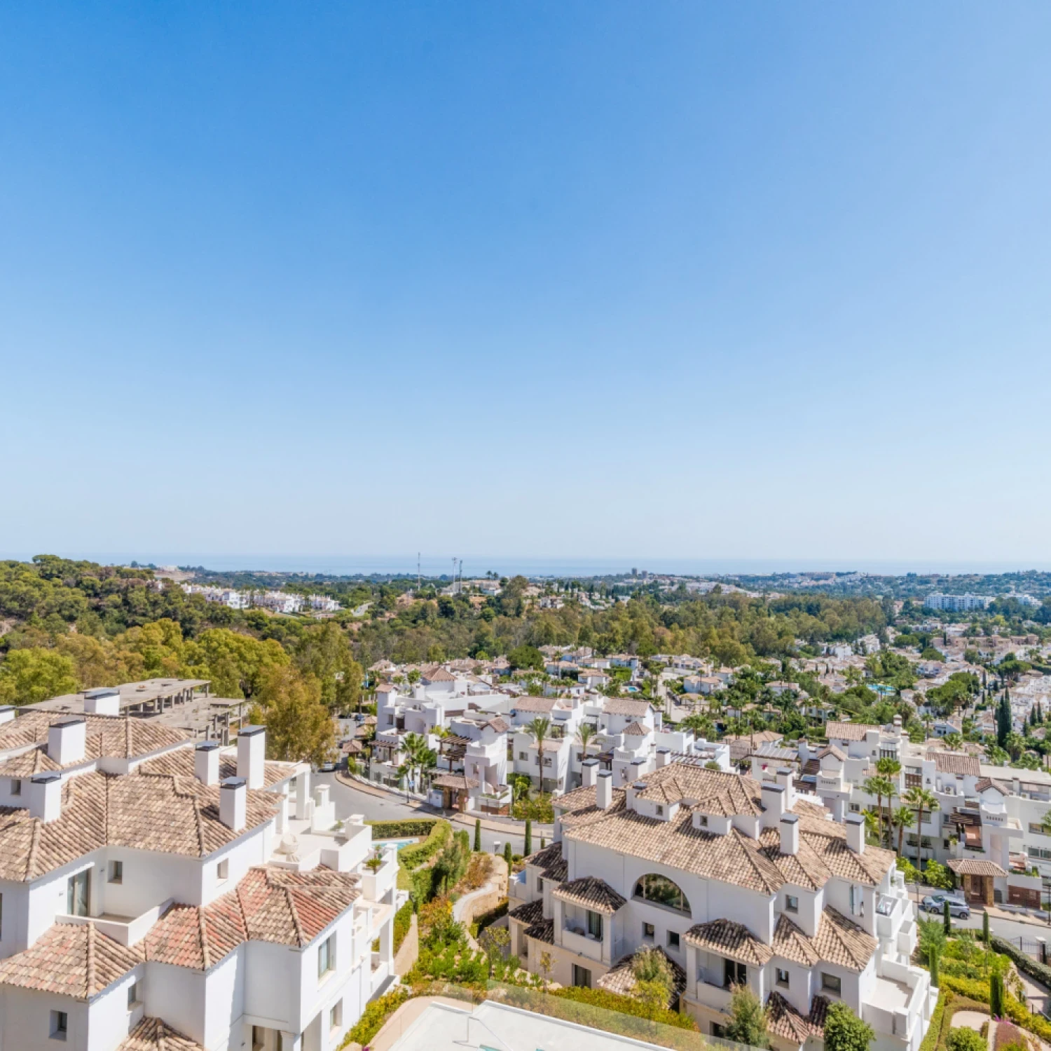 Click to open gallery