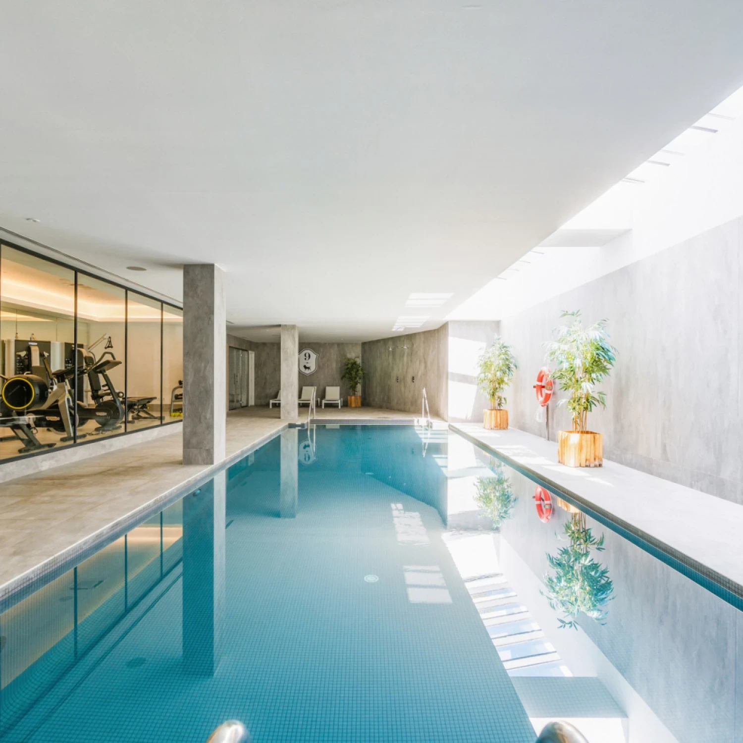 Click to open gallery