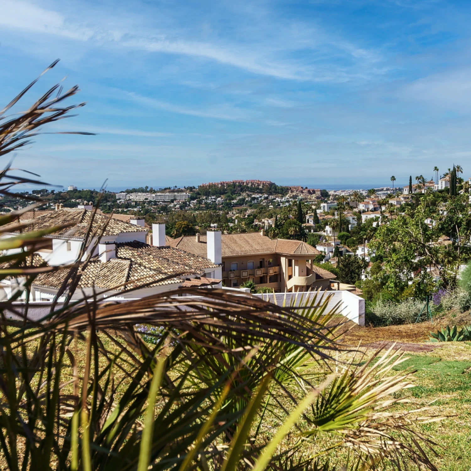 Click to open gallery