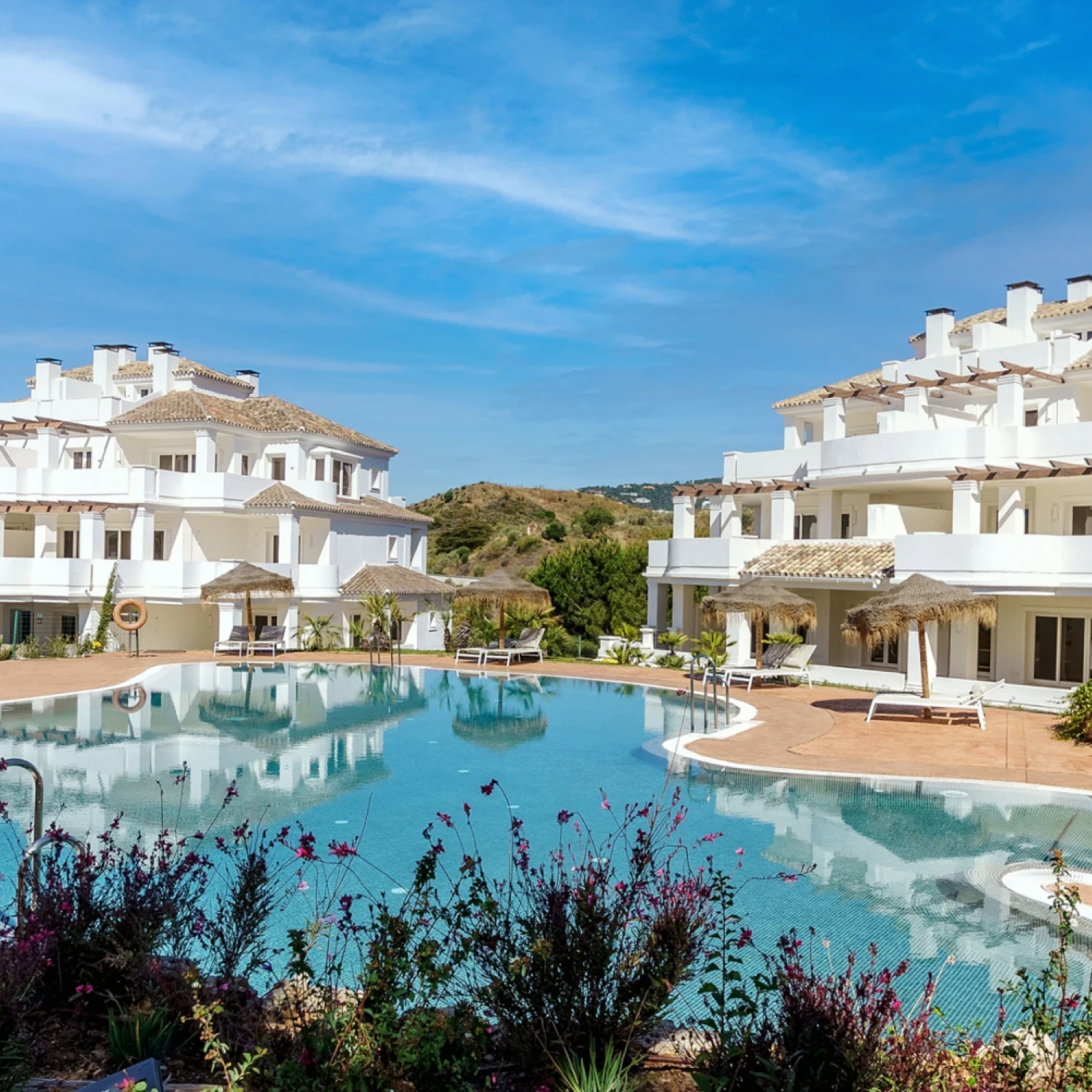 Click to open gallery