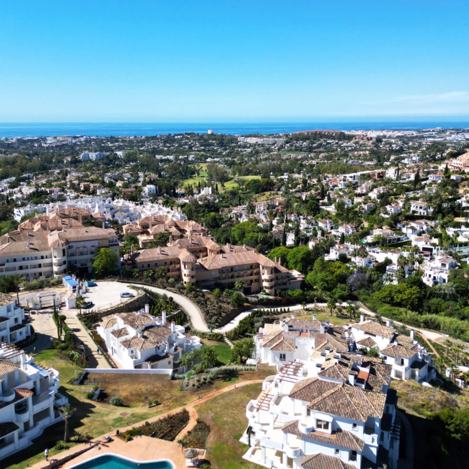 Click to open gallery