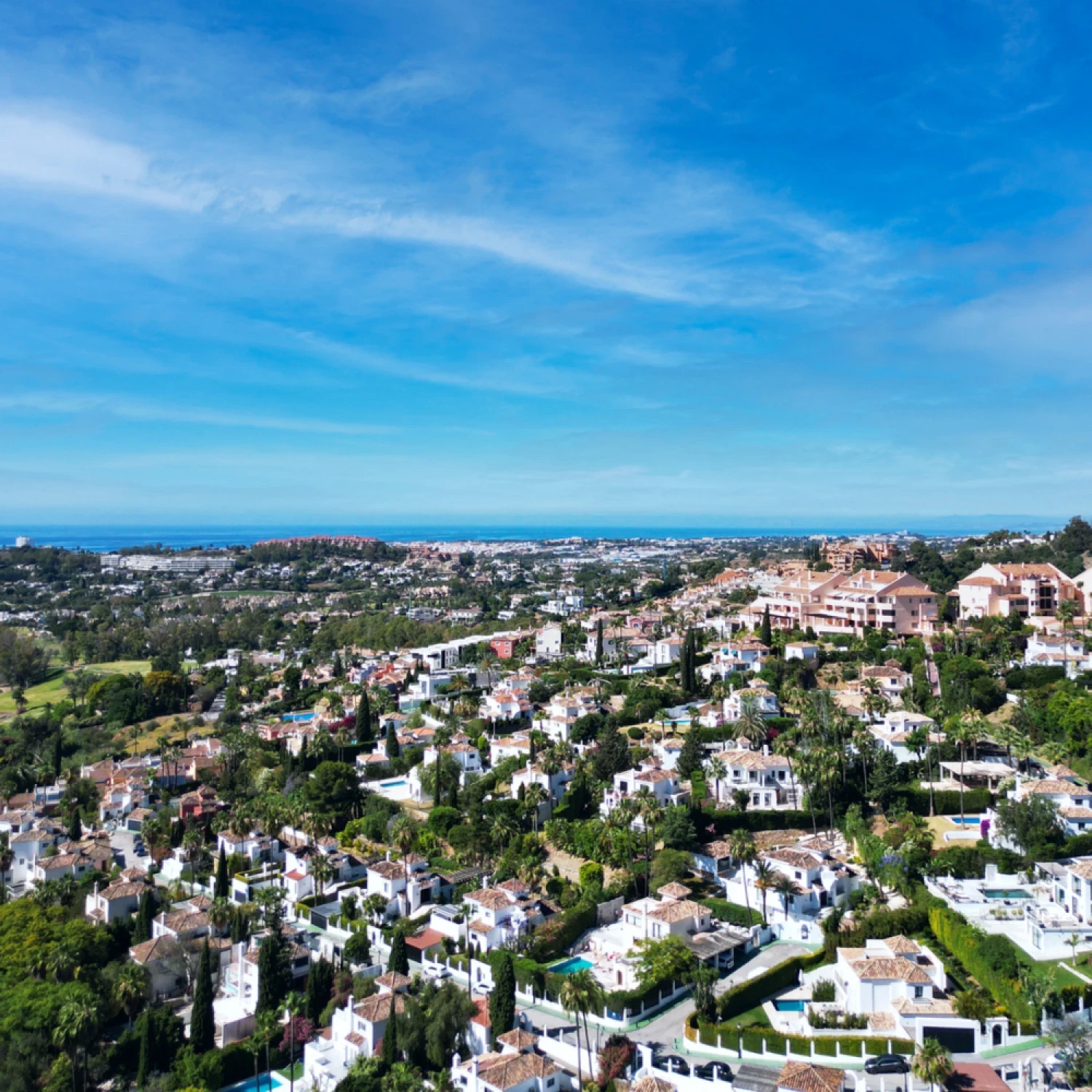 Click to open gallery