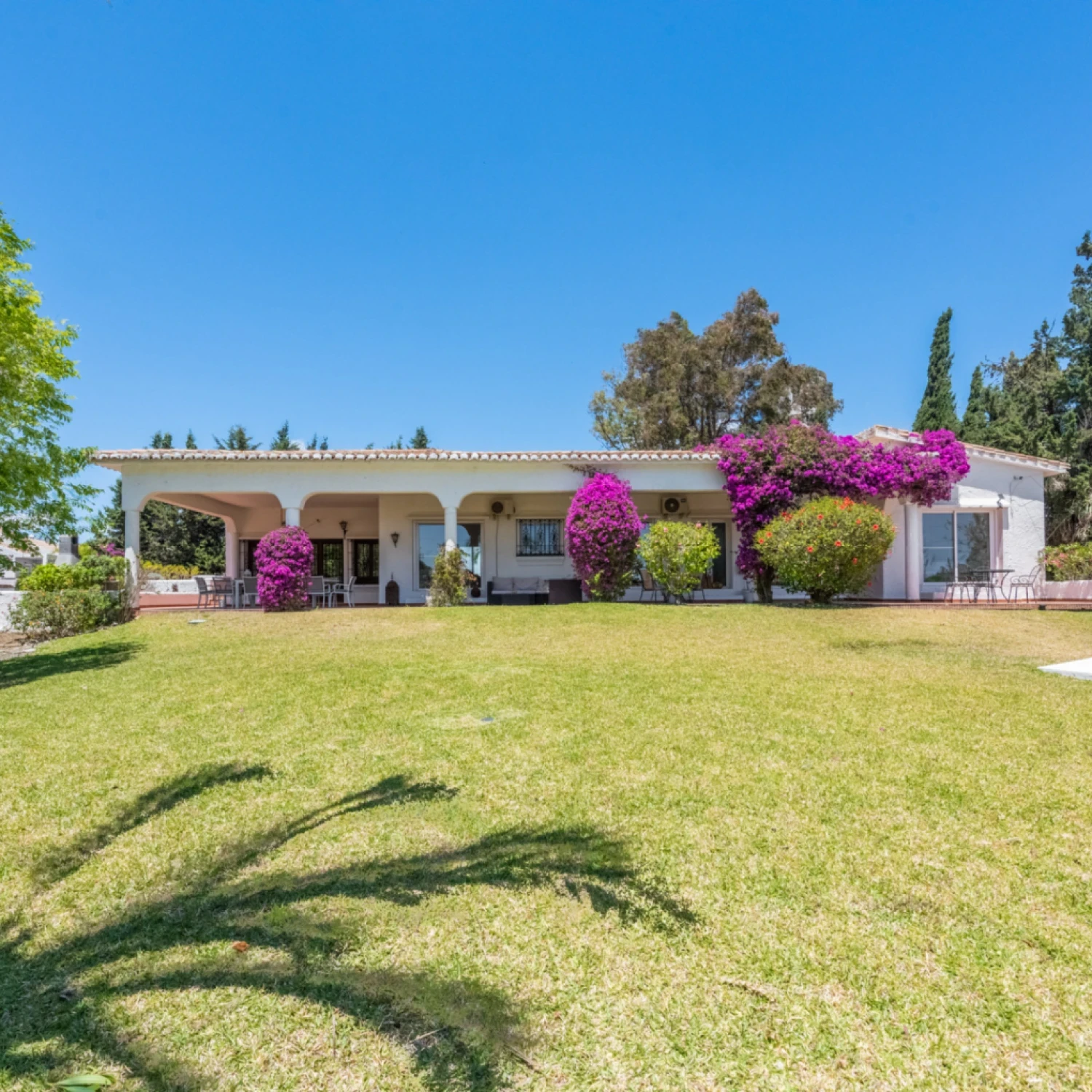 Click to open gallery