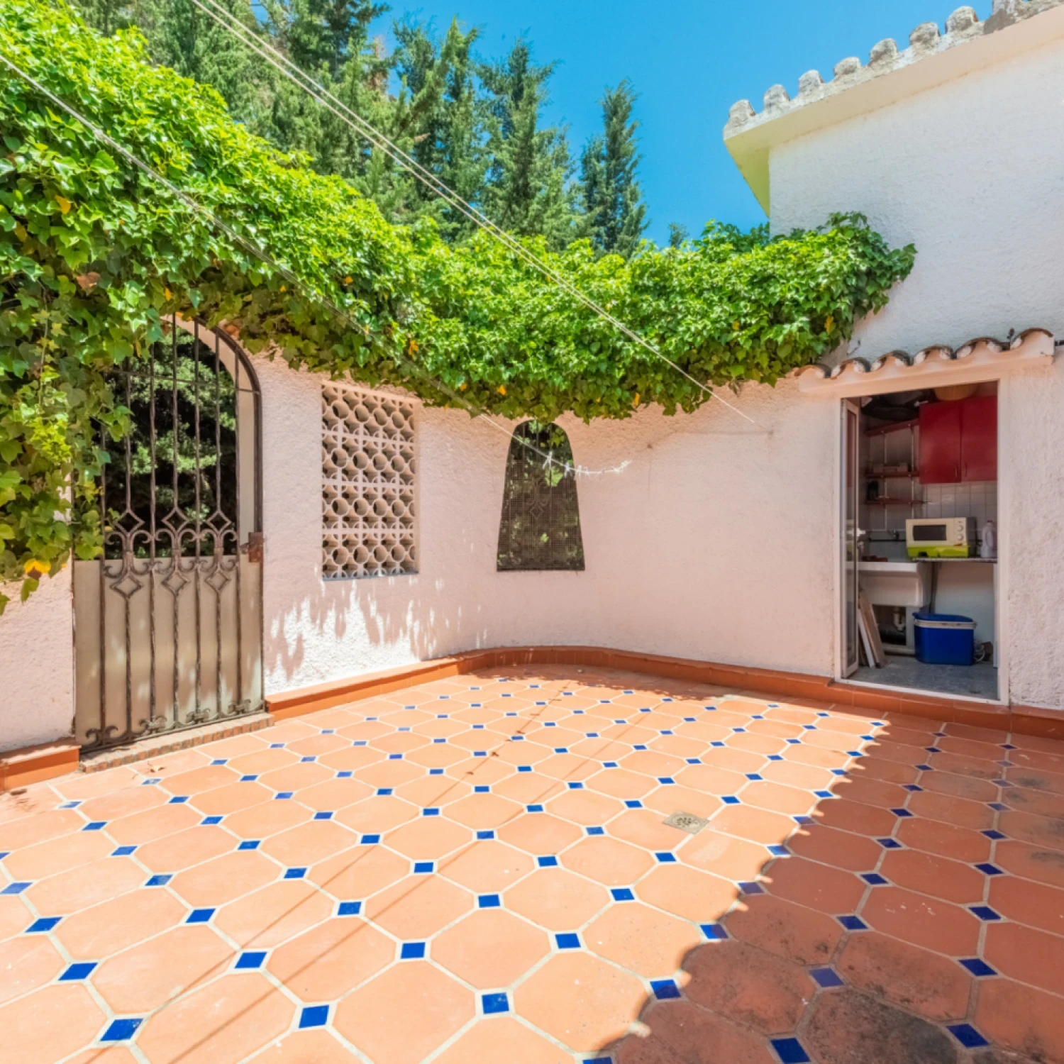 Click to open gallery