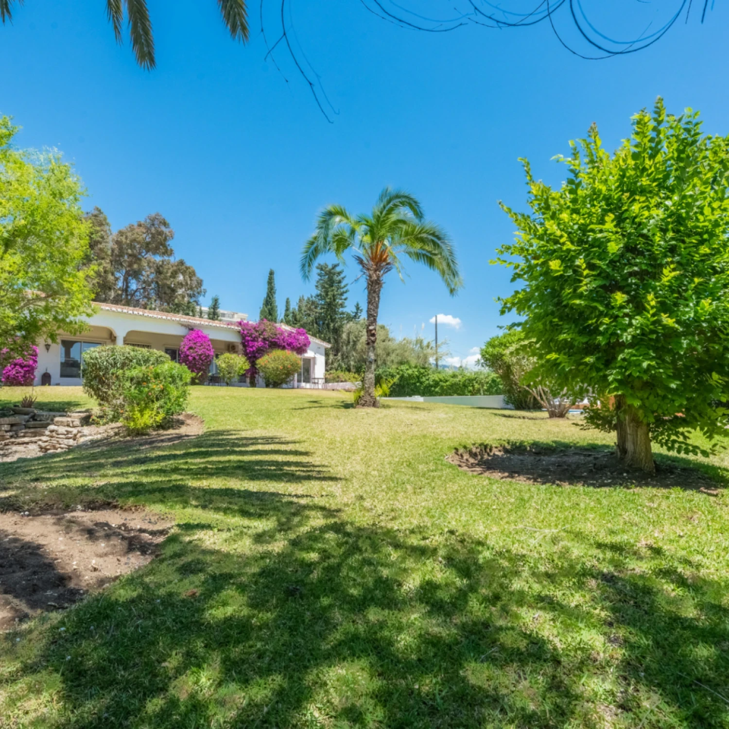 Click to open gallery