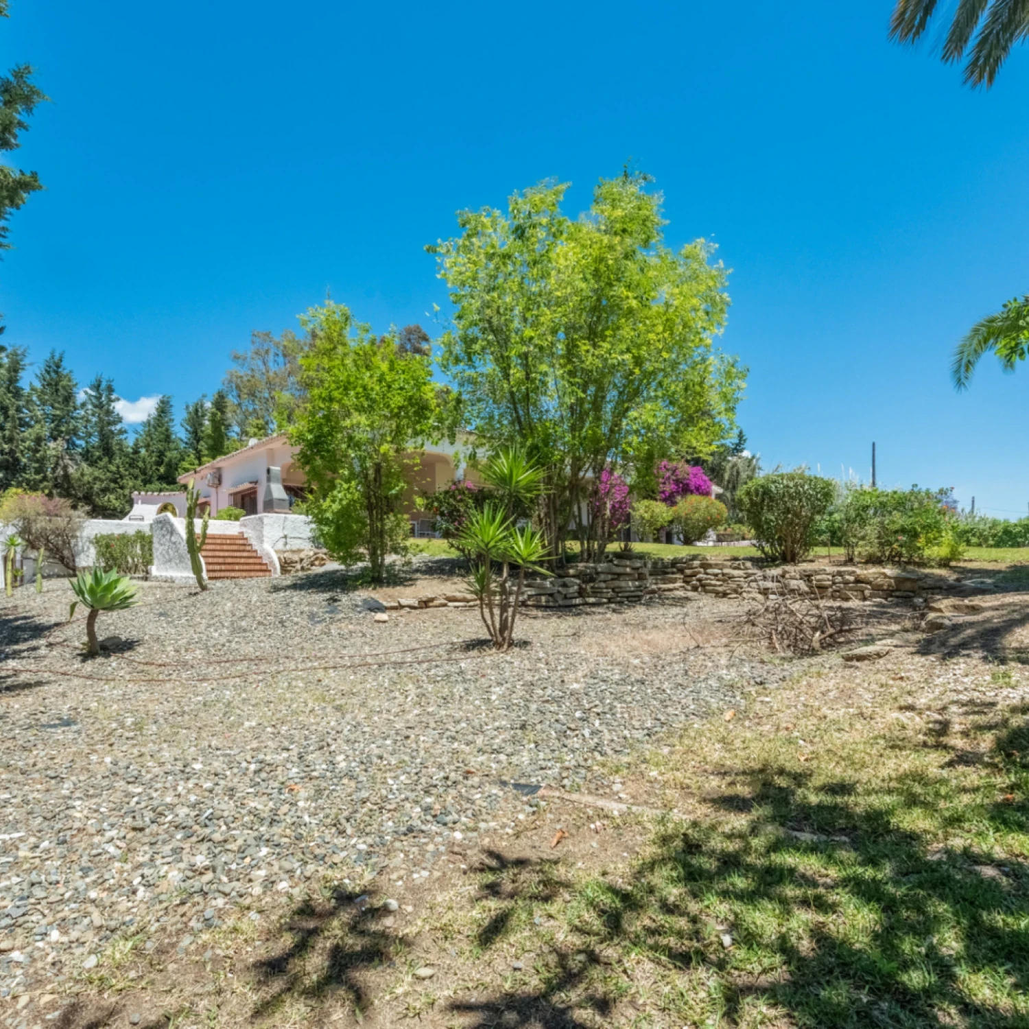 Click to open gallery